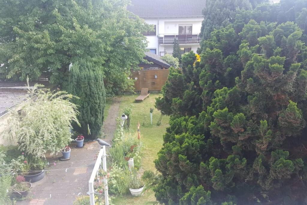 Ferienwohnung Maria Magdalena Бад-Ноєнар-Арвайлер Екстер'єр фото